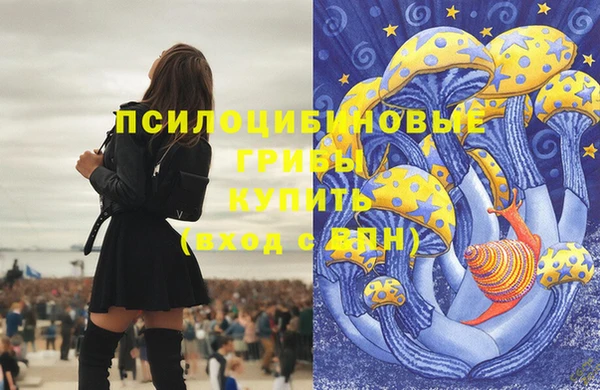 ECSTASY Баксан