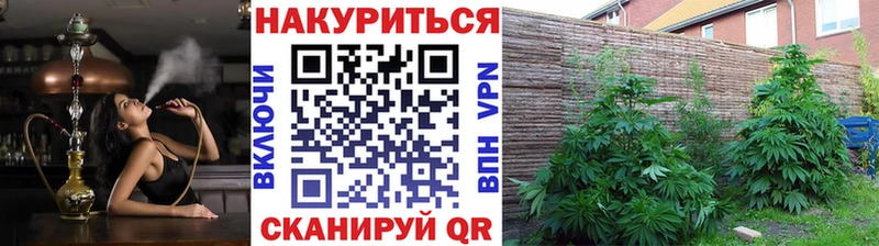 Бошки Шишки Ganja  Тында 